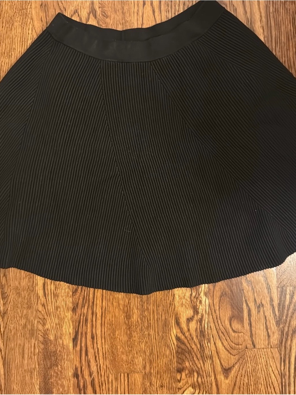 Endless Rose Black Pleated Circle Skirt